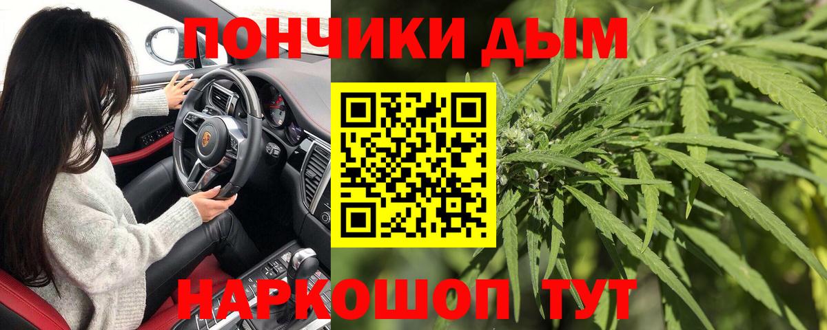 Курчалой  Канабис тримм  МАРИХУАНА Amnesia  Вход с VPN  Конопля марихуана  Каннабис VHQ 